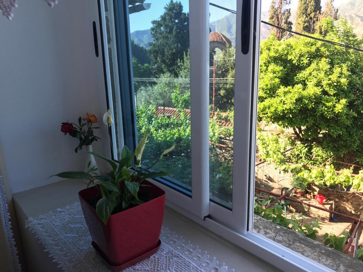 The Mosaic House - Shtepia Me Mozaik Ξενοδοχείο Πρεμετή Εξωτερικό φωτογραφία