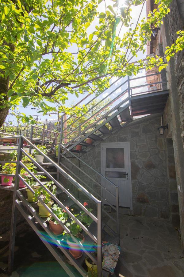 The Mosaic House - Shtepia Me Mozaik Ξενοδοχείο Πρεμετή Εξωτερικό φωτογραφία